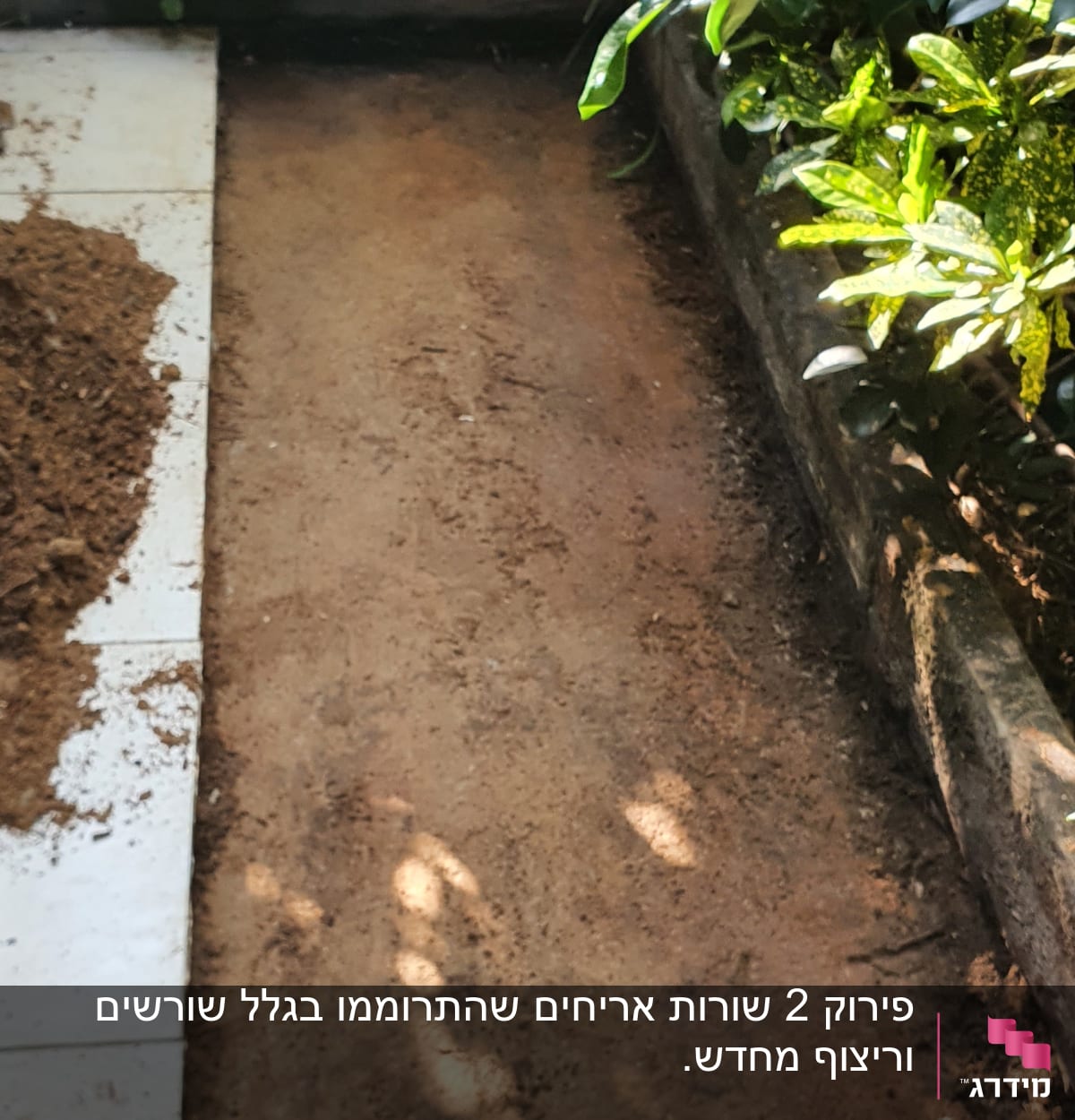 אדמה מוכנה לריצוף ליד שביל מרוצף